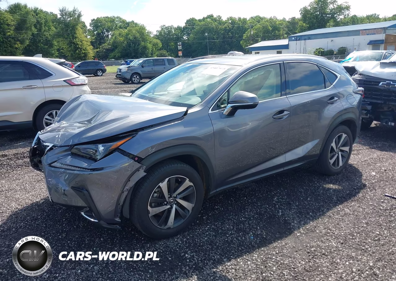 2019 Lexus Nx 300 Base-300 F Sport VIN:JTJYARBZXK2118786 - 2