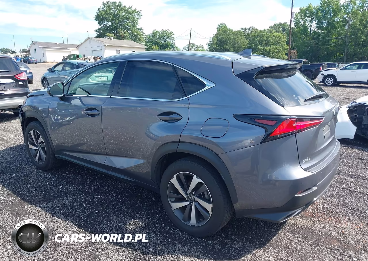 2019 Lexus Nx 300 Base-300 F Sport VIN:JTJYARBZXK2118786 - 3
