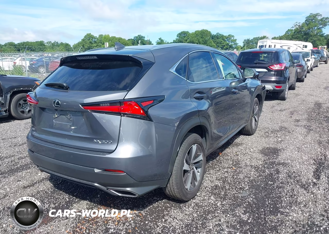 2019 Lexus Nx 300 Base-300 F Sport VIN:JTJYARBZXK2118786 - 4