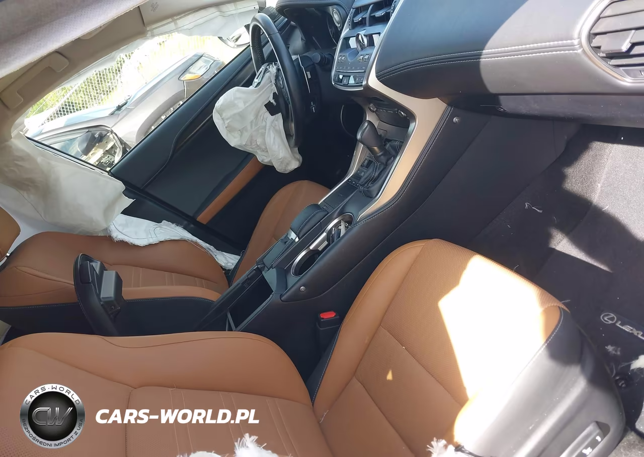 2019 Lexus Nx 300 Base-300 F Sport VIN:JTJYARBZXK2118786 - 5