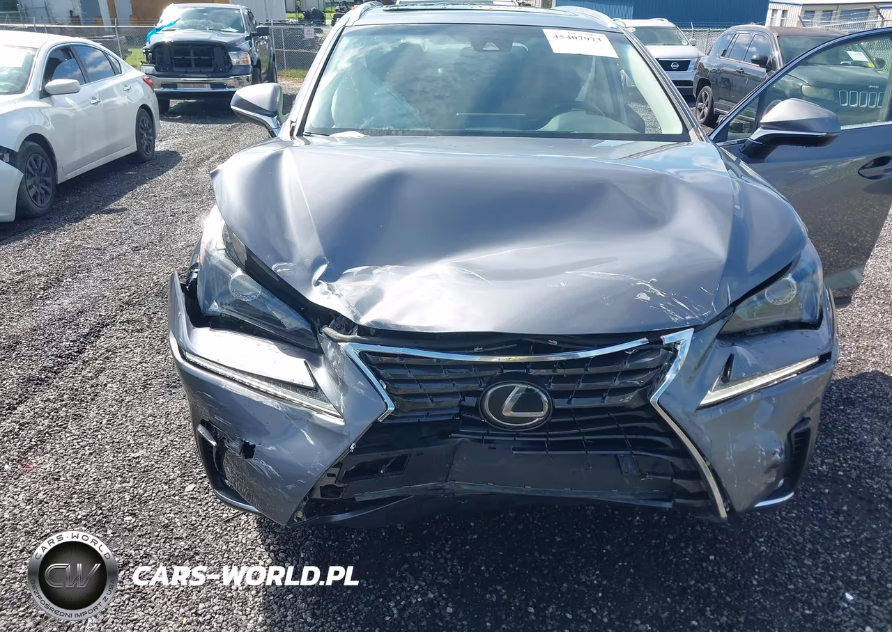 2019 Lexus Nx 300 Base-300 F Sport VIN:JTJYARBZXK2118786 - 6