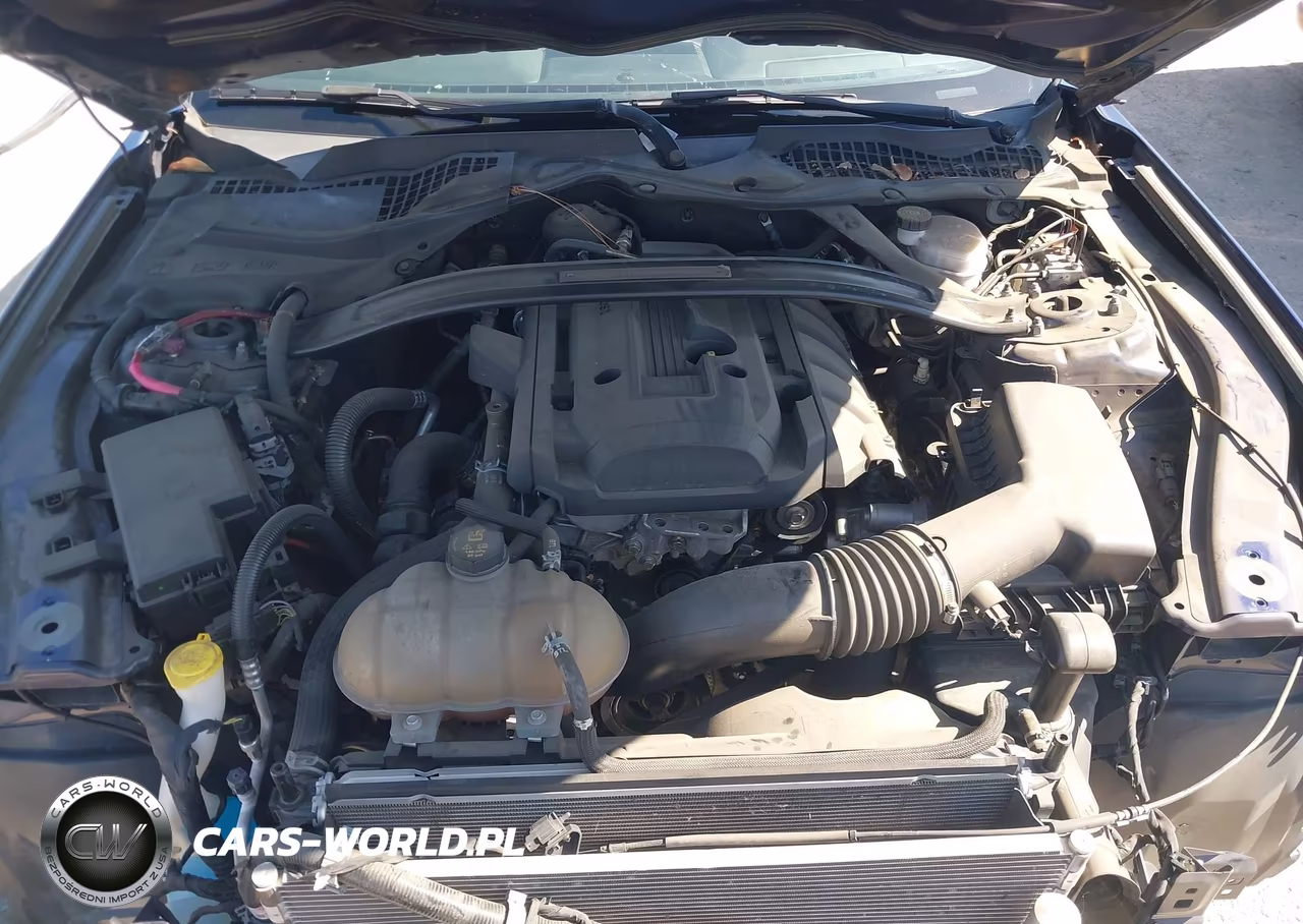 2019 Ford Mustang Ecoboost Premium VIN:1FA6P8TH7K5143674 - 10