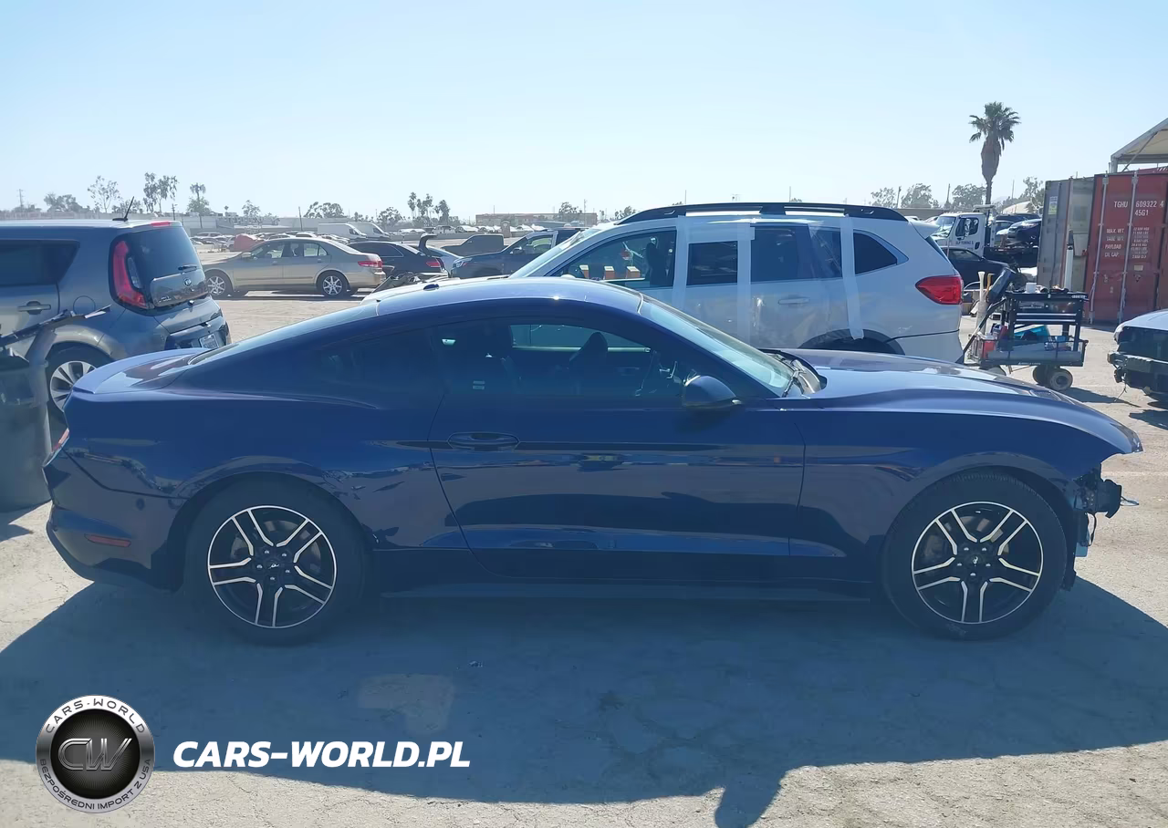 2019 Ford Mustang Ecoboost Premium VIN:1FA6P8TH7K5143674 - 14