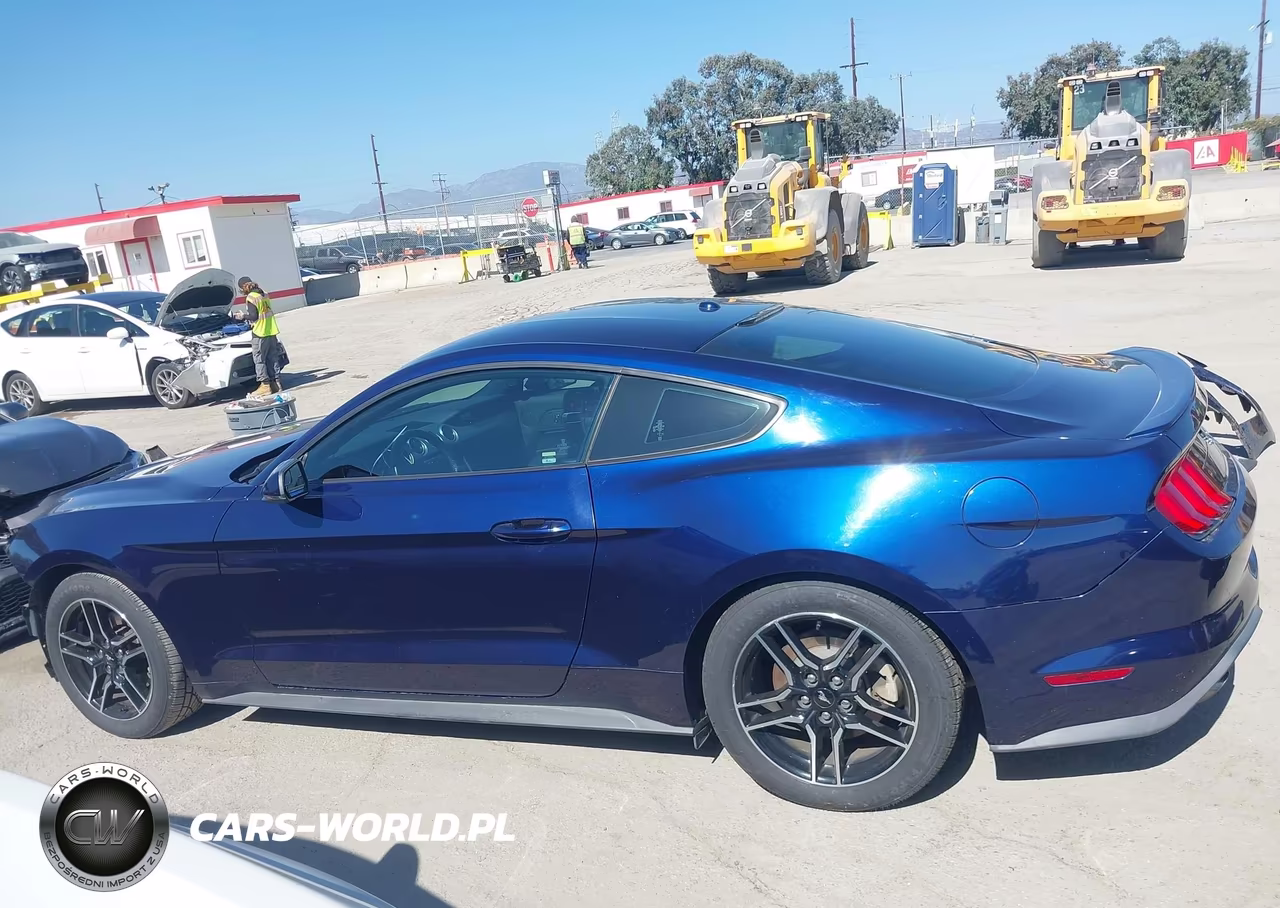 2019 Ford Mustang Ecoboost Premium VIN:1FA6P8TH7K5143674 - 15