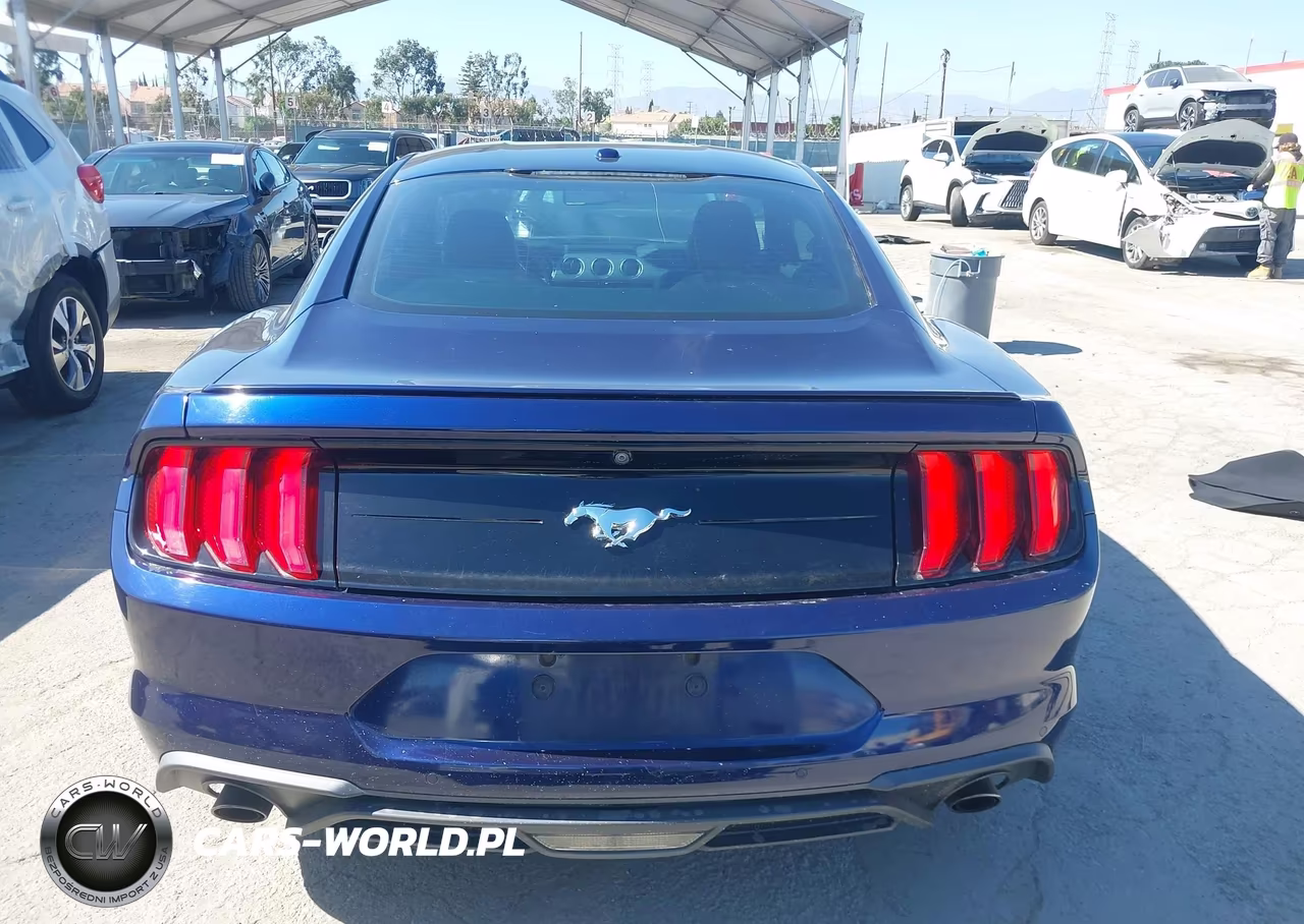 2019 Ford Mustang Ecoboost Premium VIN:1FA6P8TH7K5143674 - 17