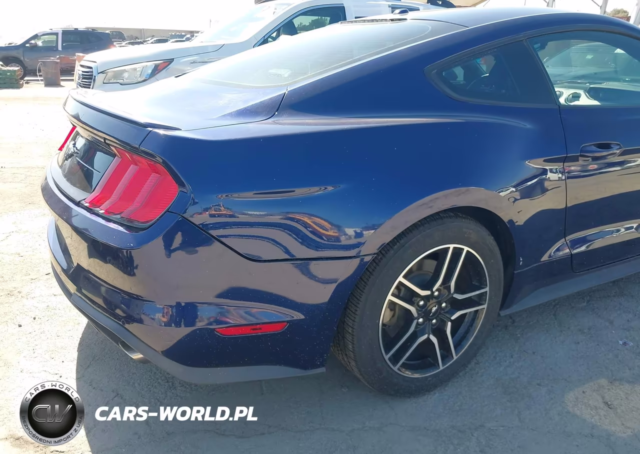 2019 Ford Mustang Ecoboost Premium VIN:1FA6P8TH7K5143674 - 18