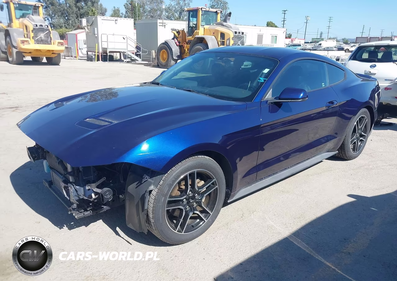 2019 Ford Mustang Ecoboost Premium VIN:1FA6P8TH7K5143674 - 2