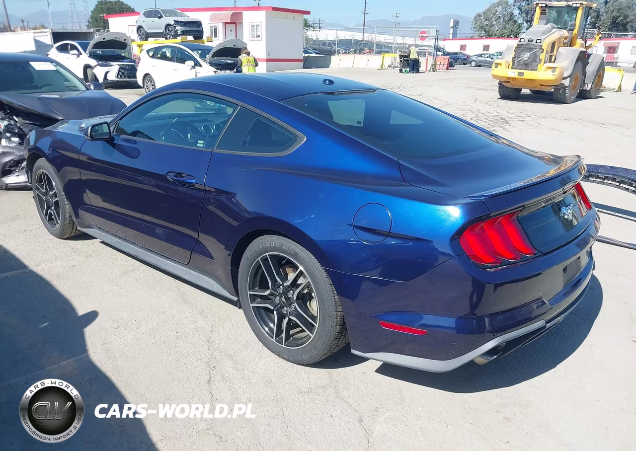 2019 Ford Mustang Ecoboost Premium VIN:1FA6P8TH7K5143674 - 3