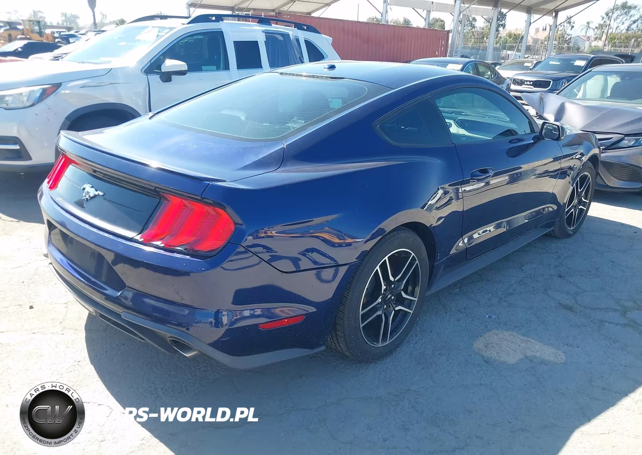 2019 Ford Mustang Ecoboost Premium VIN:1FA6P8TH7K5143674 - 4