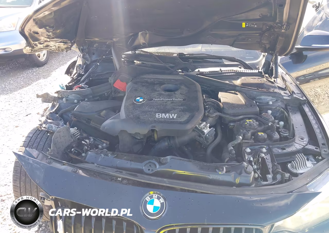 2018 BMW 430I Gran Coupe xDrive VIN:WBA4J3C53JBG95491 - 10
