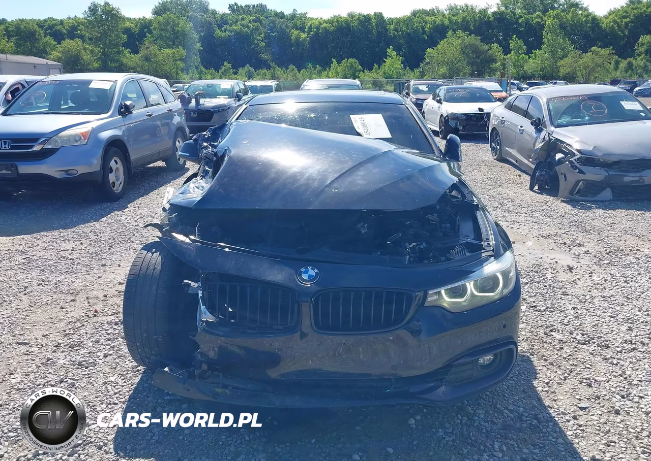 2018 BMW 430I Gran Coupe xDrive VIN:WBA4J3C53JBG95491 - 13