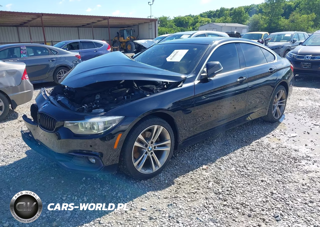 2018 BMW 430I Gran Coupe xDrive VIN:WBA4J3C53JBG95491 - 2