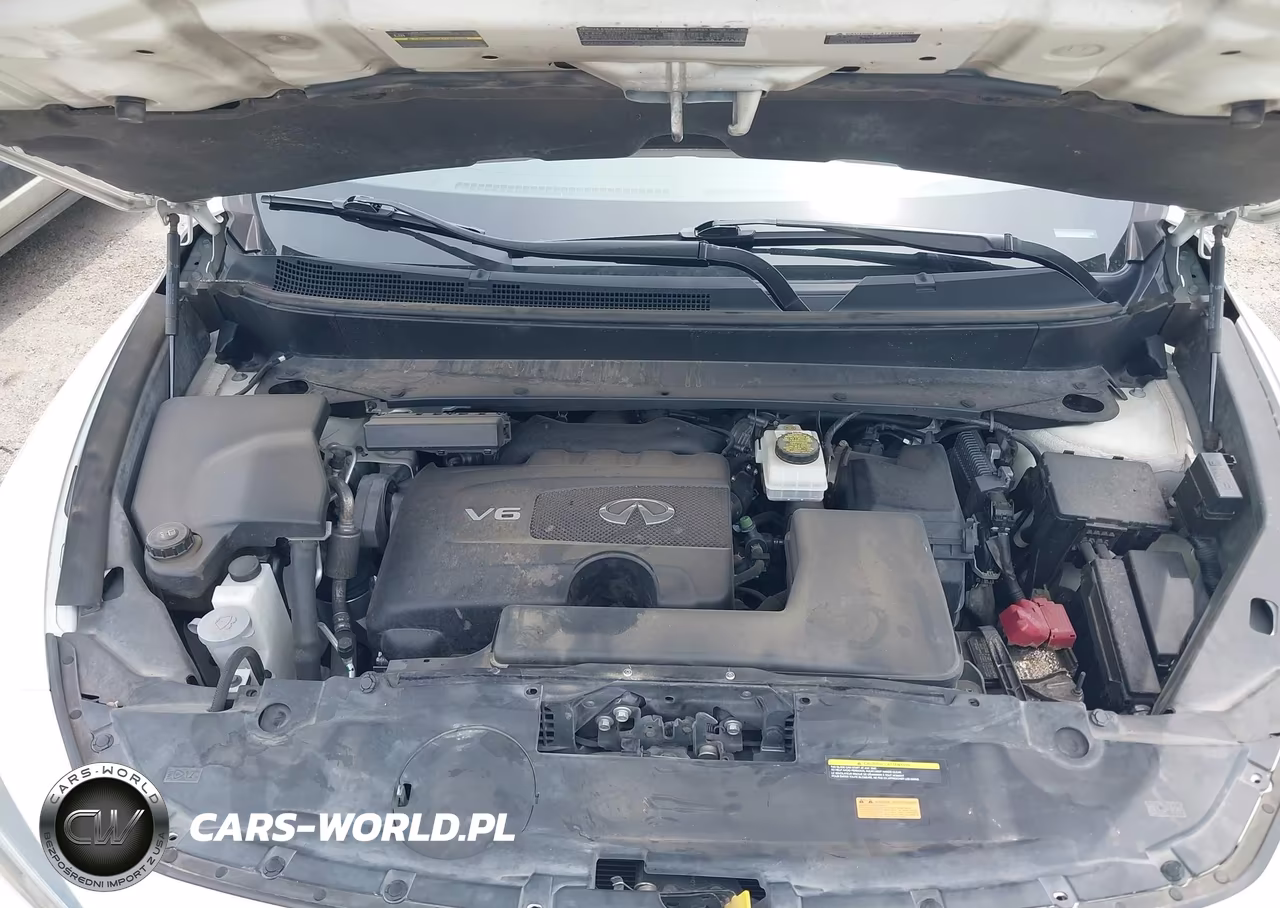 2017 Infiniti Qx60 VIN:5N1DL0MM2HC543586 - 10