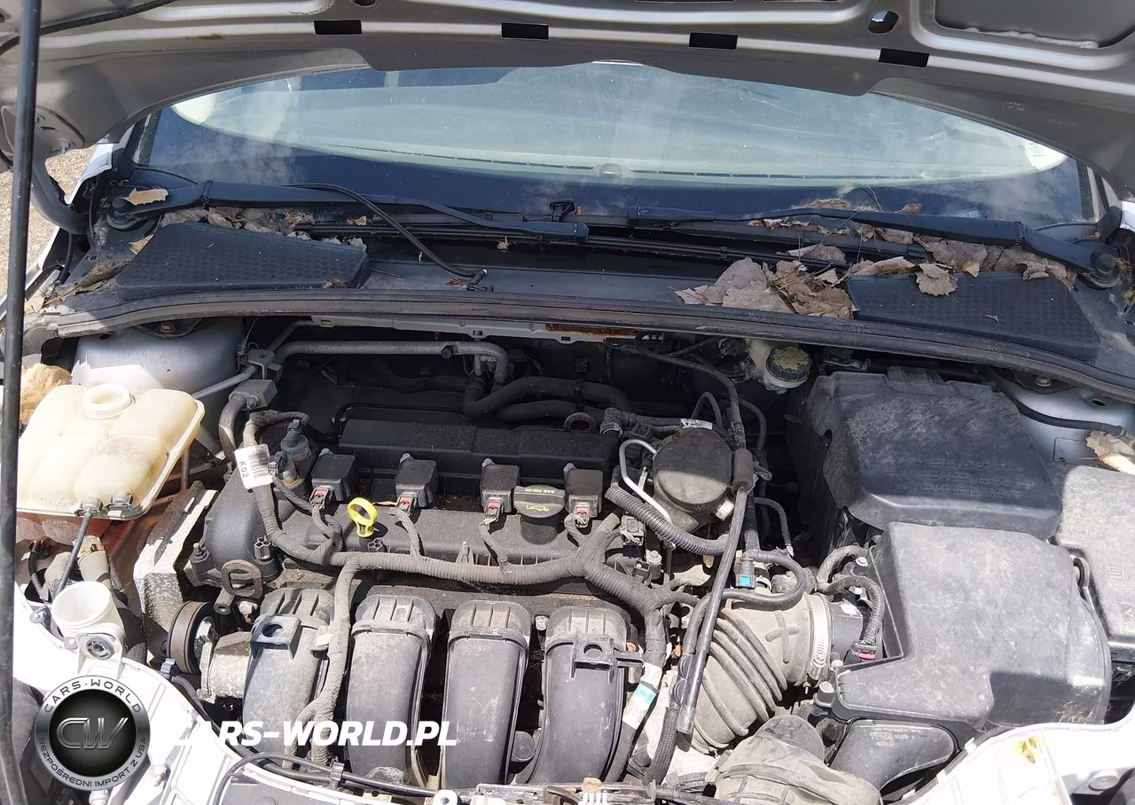 2014 Ford Focus Se VIN:1FADP3F28EL248953 - 10