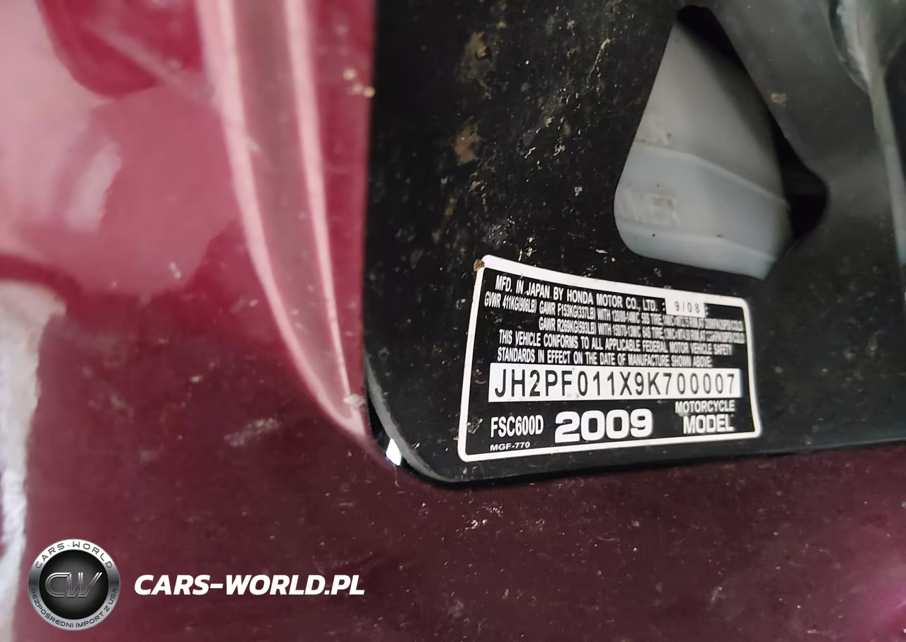 2009 Honda Fsc600 D VIN:JH2PF011X9K700007 - 10