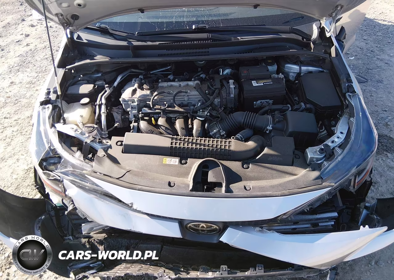 2020 Toyota Corolla Le VIN:JTDHPRAE5LJ041462 - 10