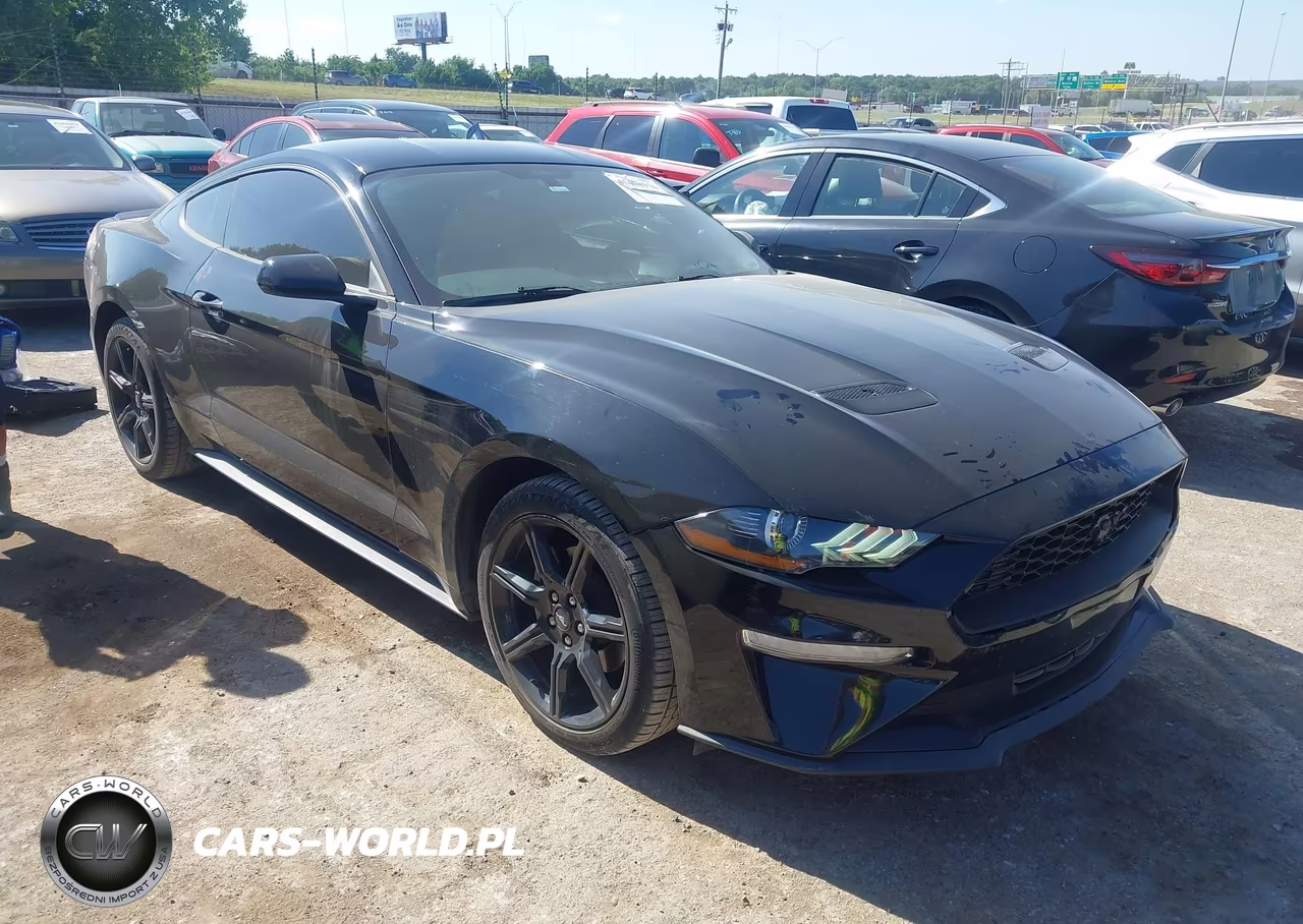 2019 Ford Mustang Ecoboost