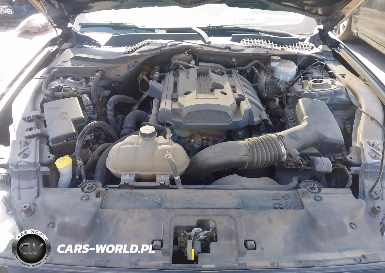 2019 Ford Mustang Ecoboost VIN:1FA6P8TH5K5120619 - 10