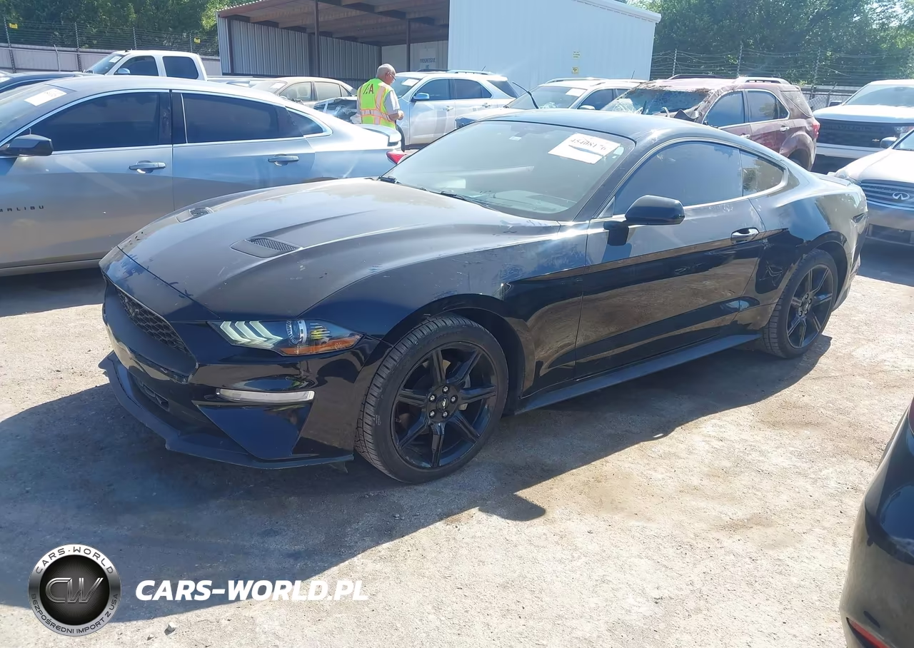 2019 Ford Mustang Ecoboost VIN:1FA6P8TH5K5120619 - 2