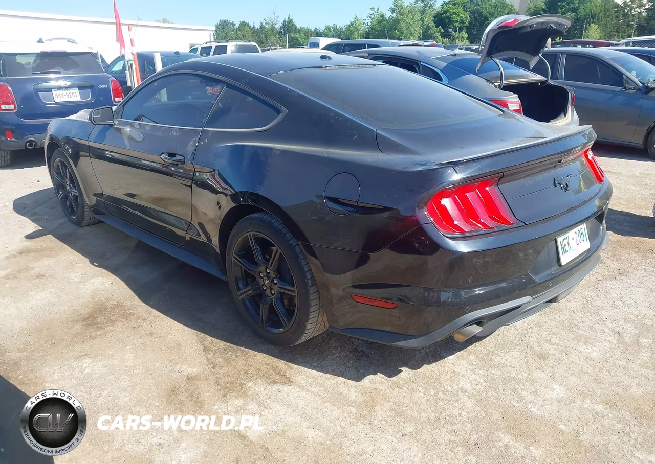 2019 Ford Mustang Ecoboost VIN:1FA6P8TH5K5120619 - 3