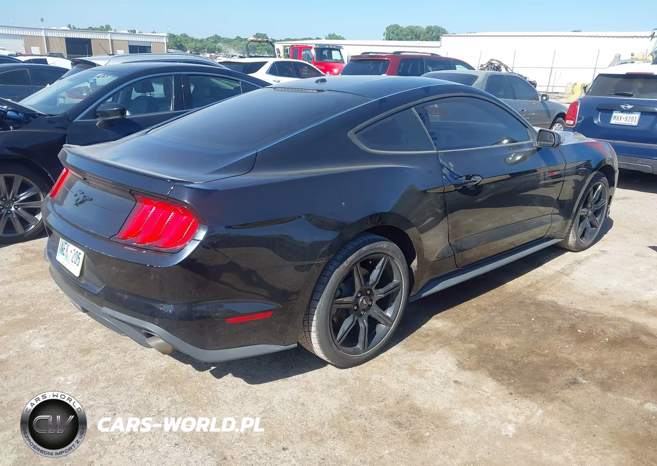 2019 Ford Mustang Ecoboost VIN:1FA6P8TH5K5120619 - 4