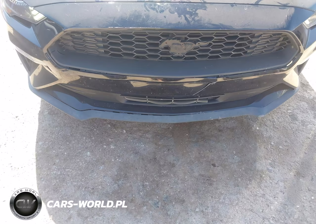 2019 Ford Mustang Ecoboost VIN:1FA6P8TH5K5120619 - 6