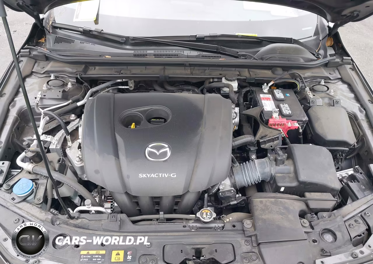 2019 Mazda Mazda3 Preferred Package VIN:JM1BPAMM6K1119725 - 10