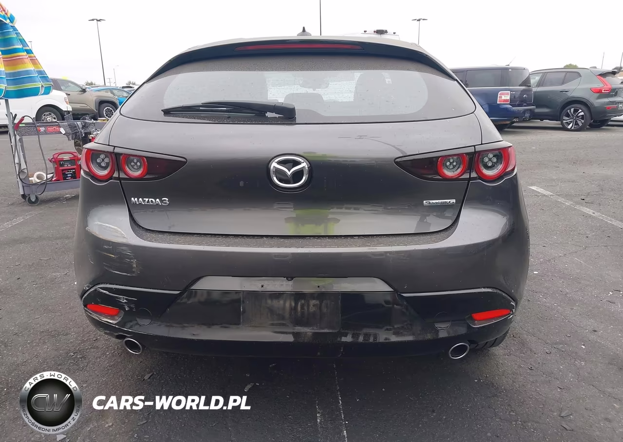 2019 Mazda Mazda3 Preferred Package VIN:JM1BPAMM6K1119725 - 16