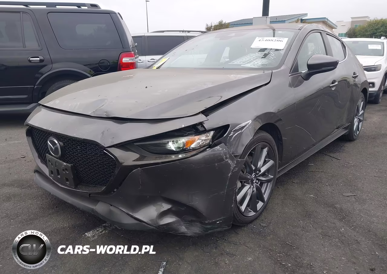 2019 Mazda Mazda3 Preferred Package VIN:JM1BPAMM6K1119725 - 2