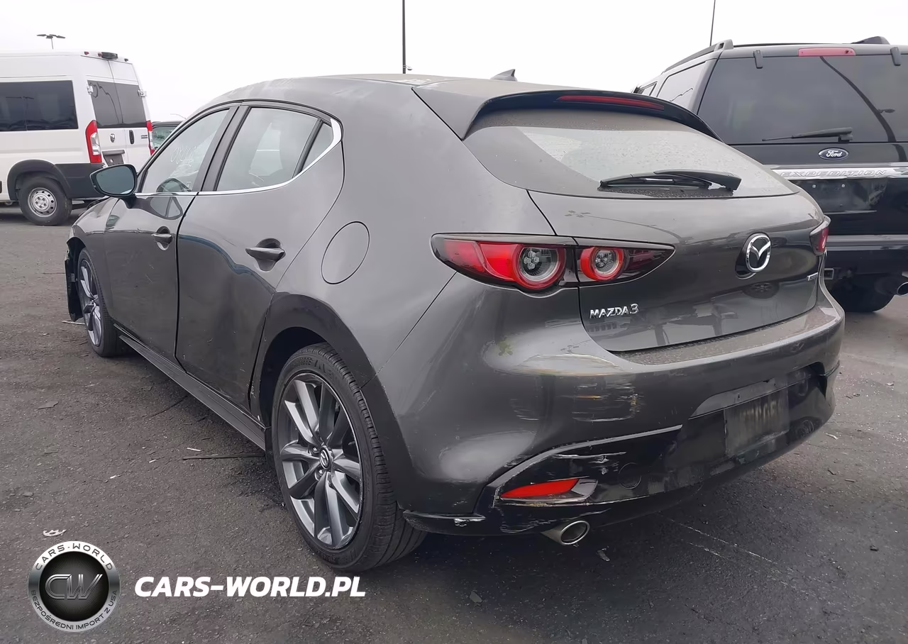 2019 Mazda Mazda3 Preferred Package VIN:JM1BPAMM6K1119725 - 3