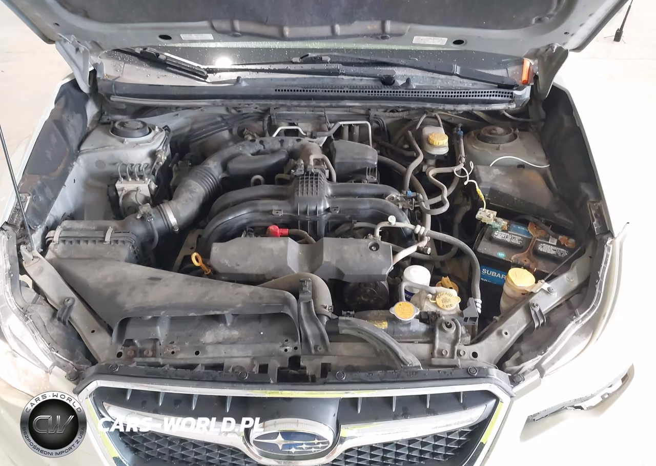 2015 Subaru Xv Crosstrek 2.0I Premium VIN:JF2GPACC0F9310175 - 10
