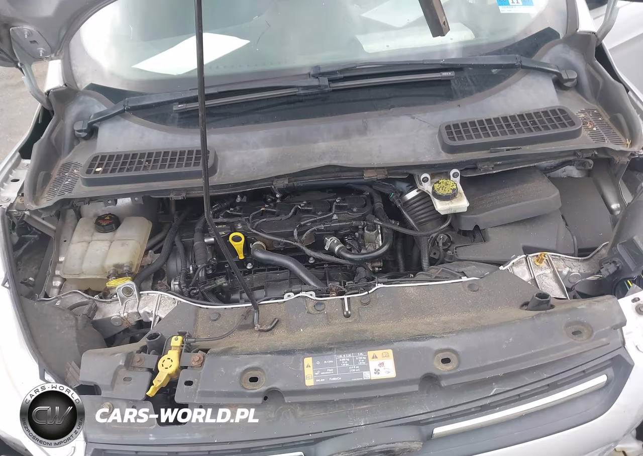 2014 Ford Escape Se VIN:1FMCU0GXXEUD29028 - 10