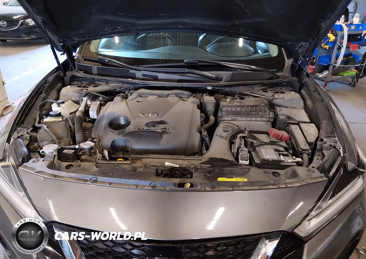 2020 Nissan Maxima Sl Xtronic Cvt VIN:1N4AA6DV0LC373820 - 10