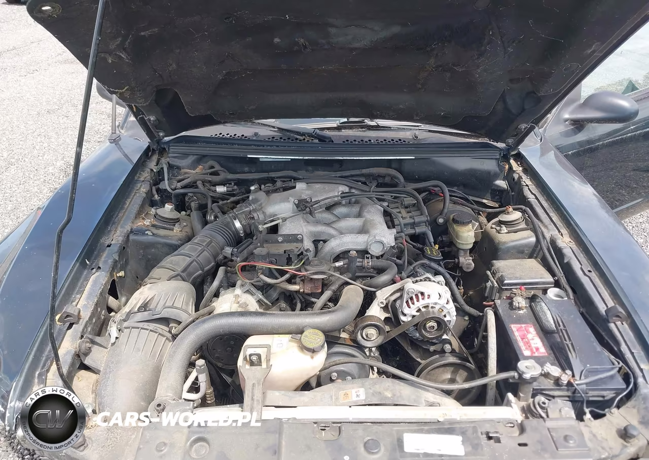 2004 Ford Mustang VIN:1FAFP40604F202671 - 10