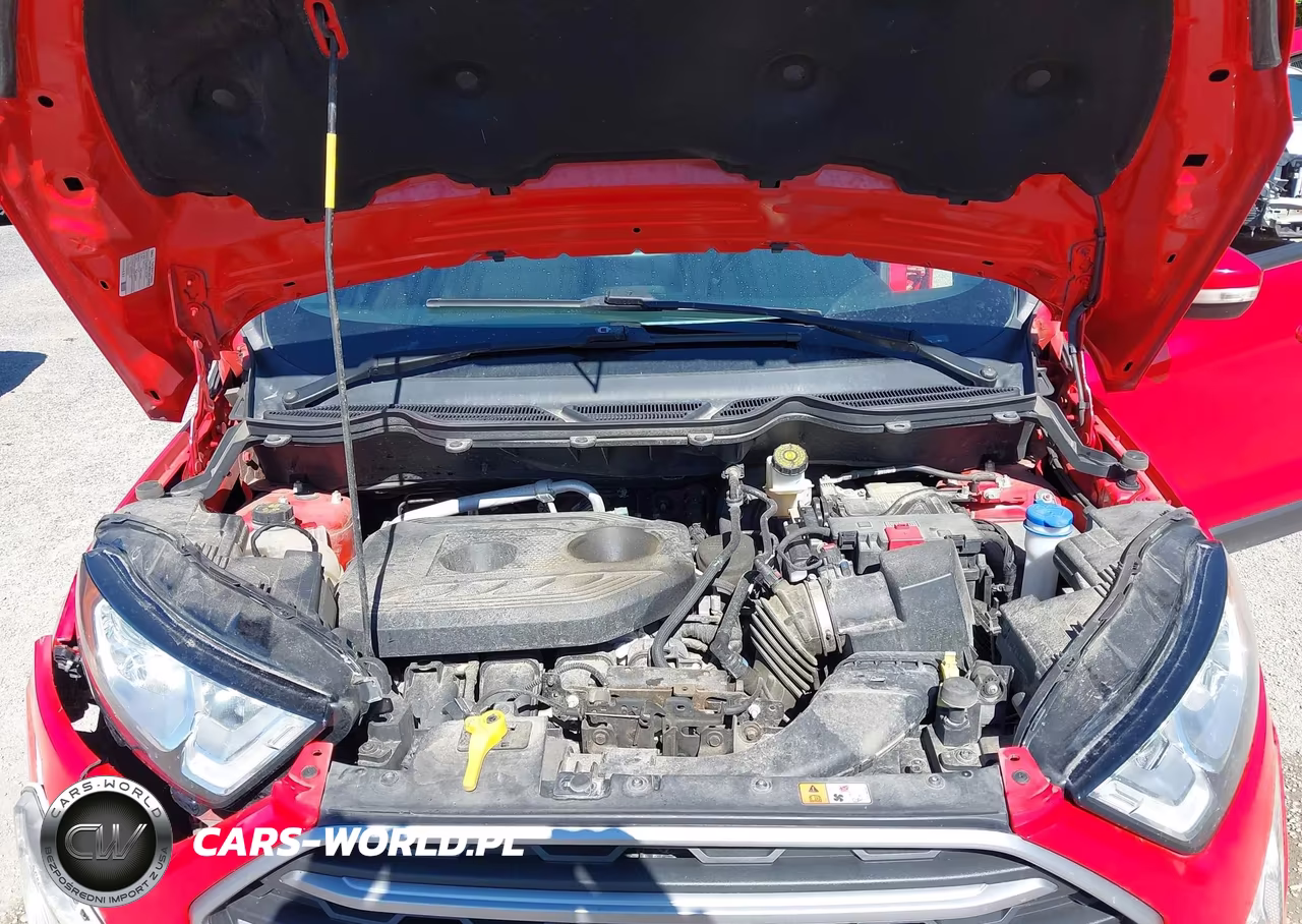 2020 Ford Ecosport Se VIN:MAJ6S3GL4LC392432 - 10