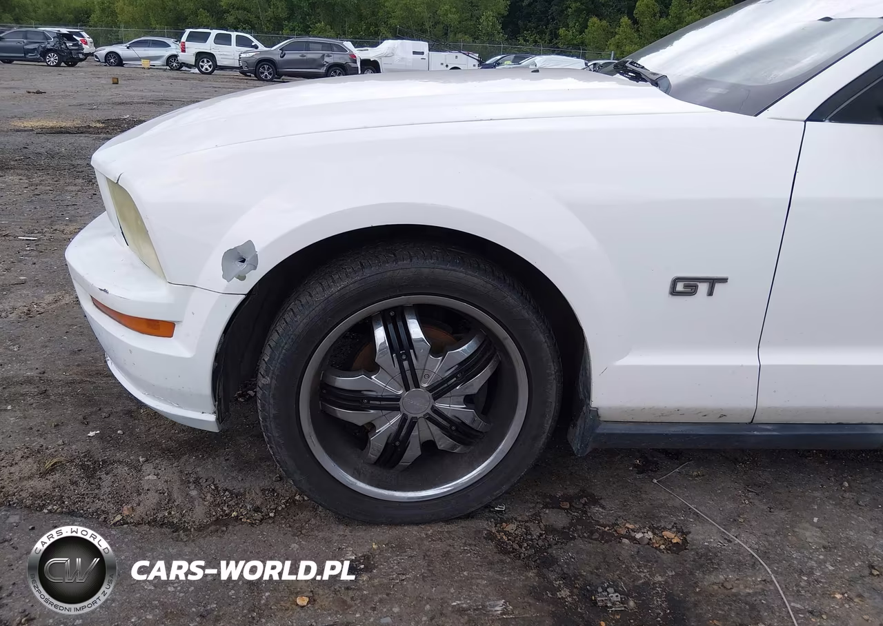 2005 Ford Mustang V6 Deluxe-V6 Premium VIN:1ZVFT80N355131037 - 13