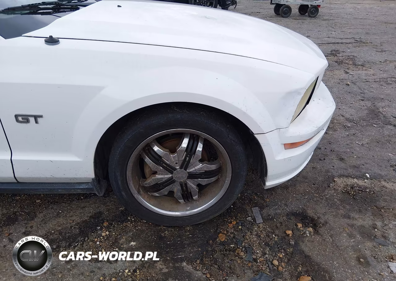 2005 Ford Mustang V6 Deluxe-V6 Premium VIN:1ZVFT80N355131037 - 15