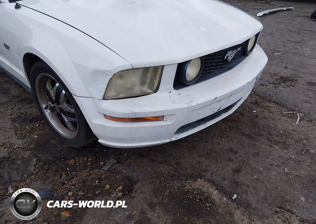 2005 Ford Mustang V6 Deluxe-V6 Premium VIN:1ZVFT80N355131037 - 16