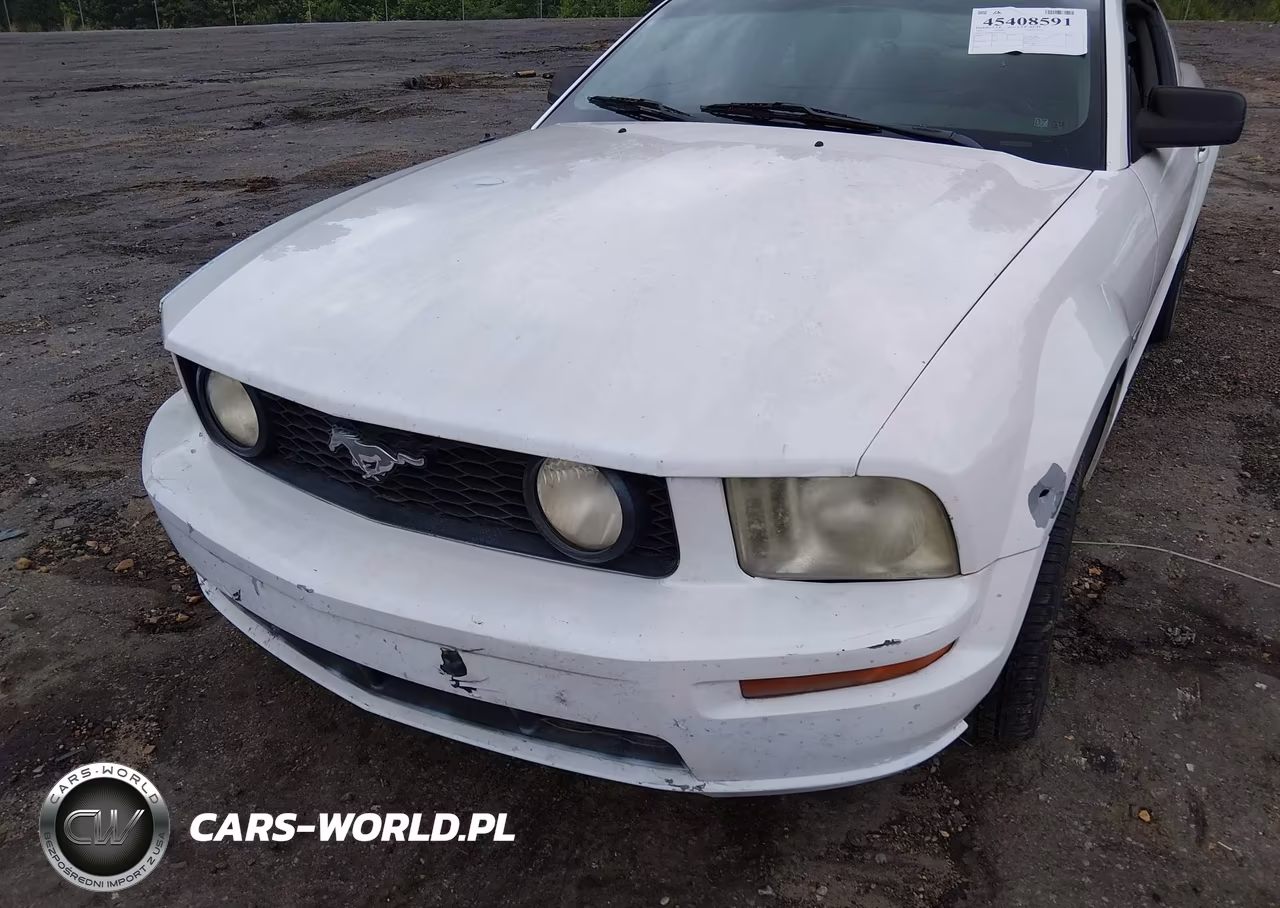 2005 Ford Mustang V6 Deluxe-V6 Premium VIN:1ZVFT80N355131037 - 17