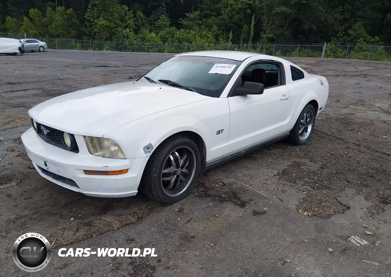 2005 Ford Mustang V6 Deluxe-V6 Premium VIN:1ZVFT80N355131037 - 2