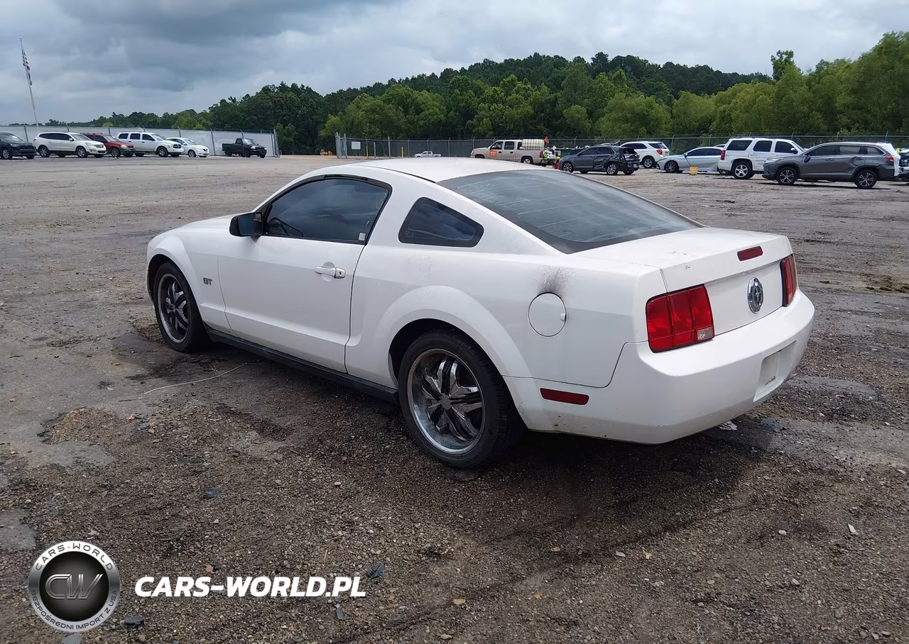 2005 Ford Mustang V6 Deluxe-V6 Premium VIN:1ZVFT80N355131037 - 3