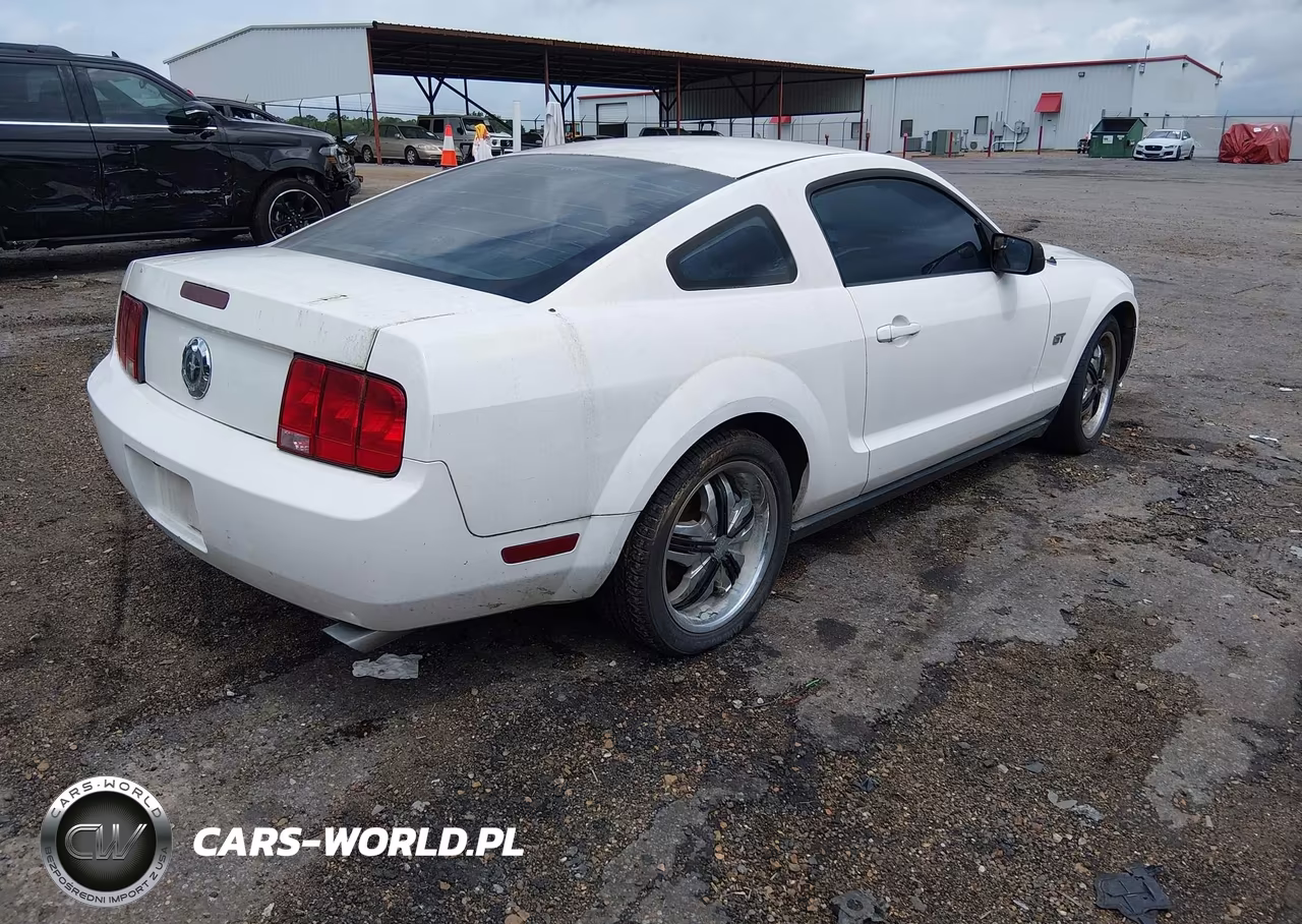 2005 Ford Mustang V6 Deluxe-V6 Premium VIN:1ZVFT80N355131037 - 4