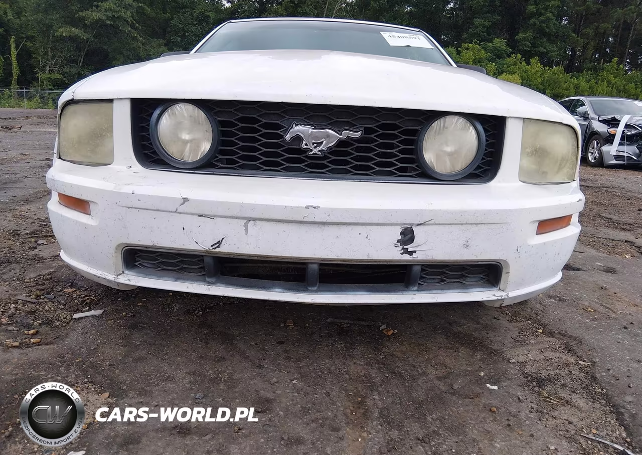 2005 Ford Mustang V6 Deluxe-V6 Premium VIN:1ZVFT80N355131037 - 6