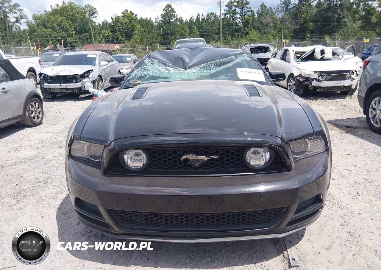 2014 Ford Mustang Gt VIN:1ZVBP8CF1E5300429 - 12