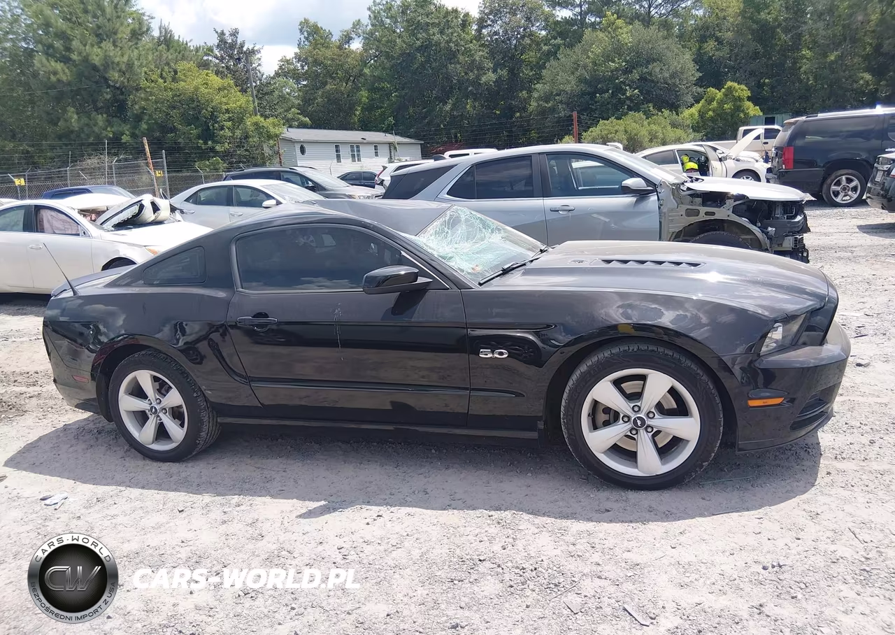 2014 Ford Mustang Gt VIN:1ZVBP8CF1E5300429 - 13