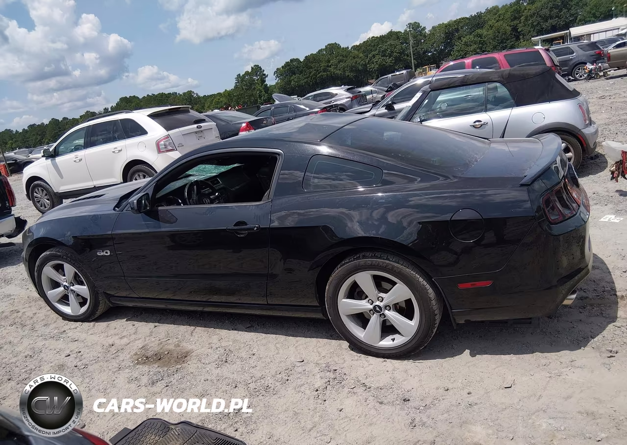 2014 Ford Mustang Gt VIN:1ZVBP8CF1E5300429 - 14