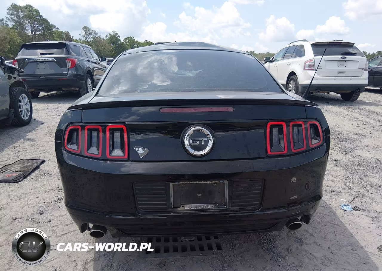 2014 Ford Mustang Gt VIN:1ZVBP8CF1E5300429 - 16