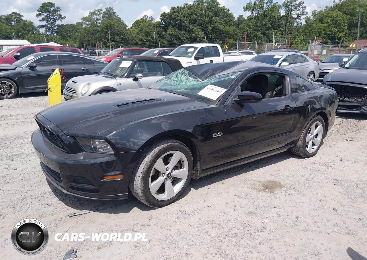 2014 Ford Mustang Gt VIN:1ZVBP8CF1E5300429 - 2