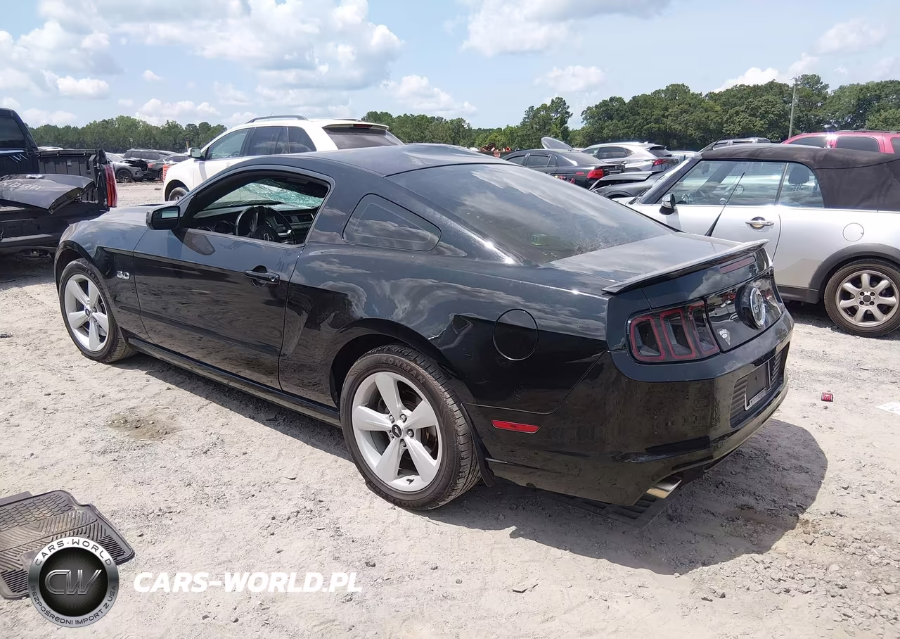 2014 Ford Mustang Gt VIN:1ZVBP8CF1E5300429 - 3