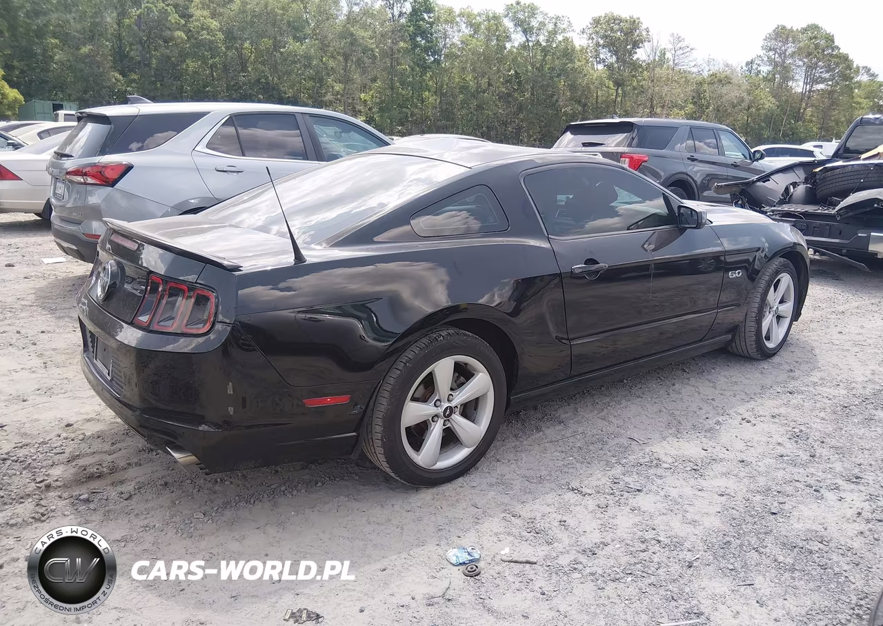 2014 Ford Mustang Gt VIN:1ZVBP8CF1E5300429 - 4